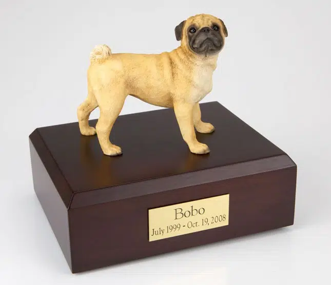 Pug figurine cremation urn w/wood box