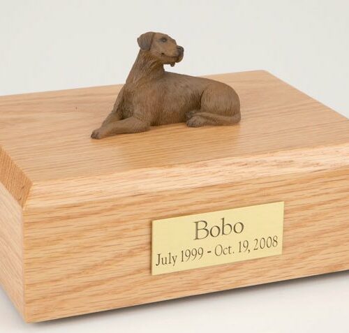 Rhodesian Ridgeback figurine cremation urn w/wood box