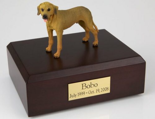 Rhodesian Ridgeback
