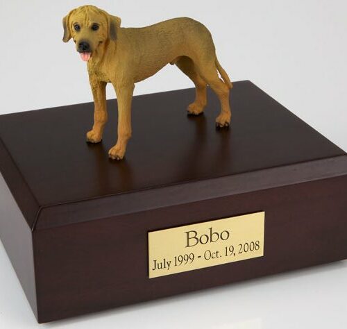 Rhodesian Ridgeback figurine cremation urn w/wood box