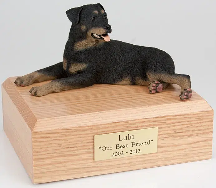 Rottweiler figurine cremation urn w/wood box