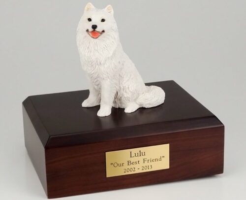 Samoyed