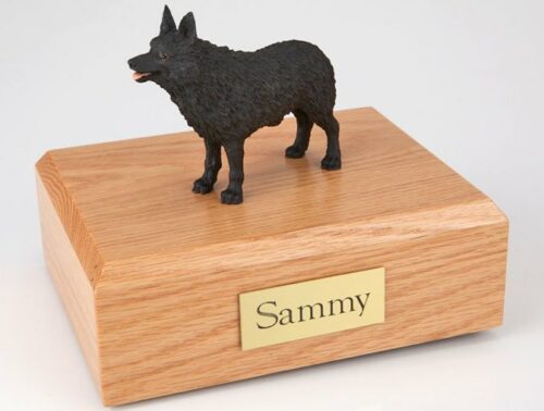 Schipperke