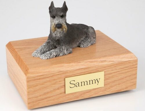 Schnauzer