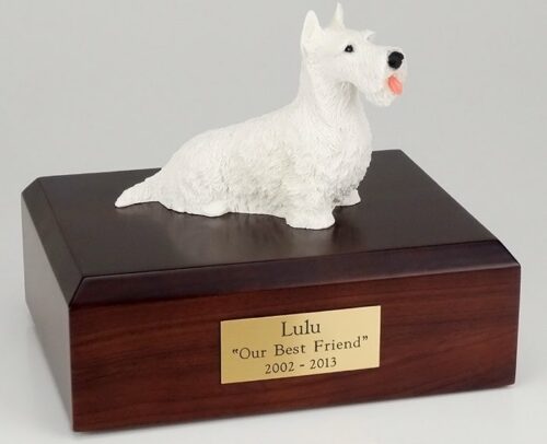 Scottish Terrier