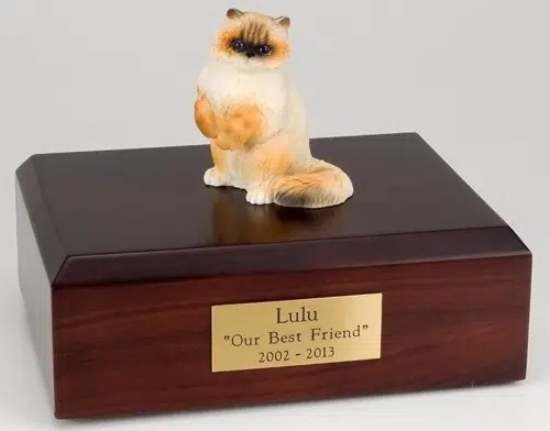 Ragdoll cat figurine cremation urn w/wood box