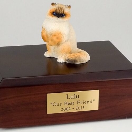 Ragdoll cat figurine cremation urn w/wood box