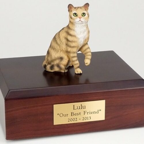 Brown Tabby cat figurine cremation urn w/wood box