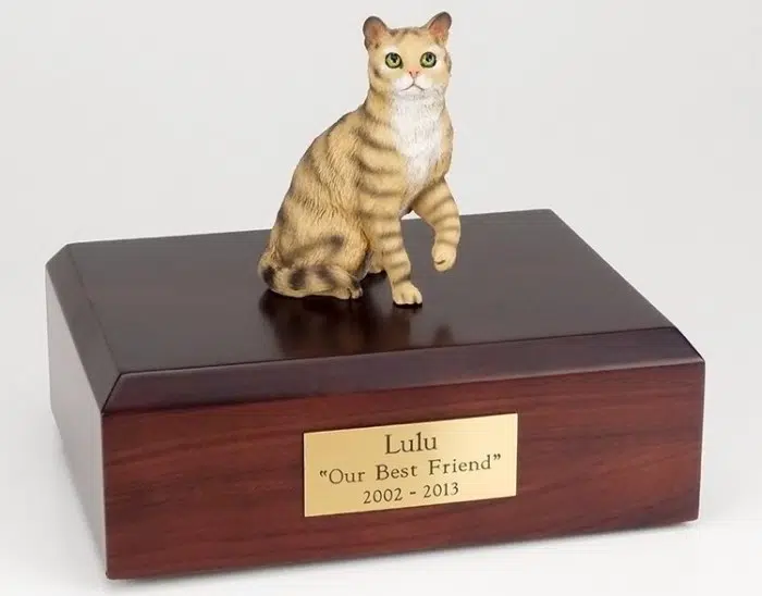 Brown Tabby cat figurine cremation urn w/wood box