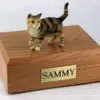 Brown Tabby cat figurine cremation urn w/wood box