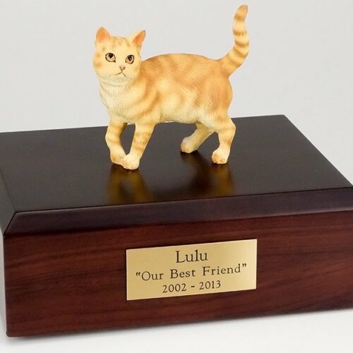 Orange Tabby cat figurine cremation urn w/wood box