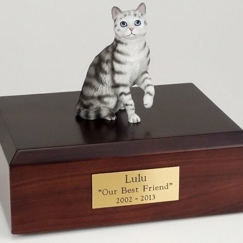 Silver Tabby cat figurine cremation urn w/wood box