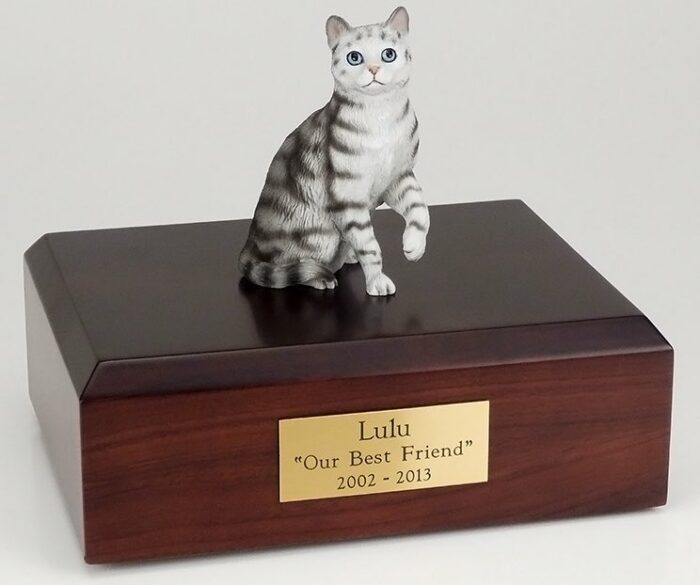 Silver Tabby cat figurine cremation urn w/wood box