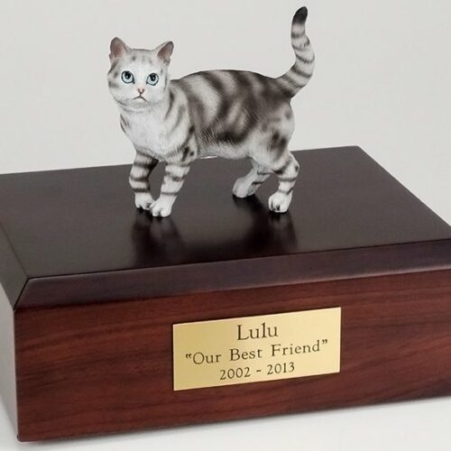 Silver Tabby cat figurine cremation urn w/wood box