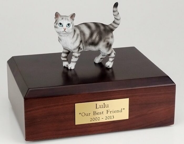 Silver Tabby cat figurine cremation urn w/wood box