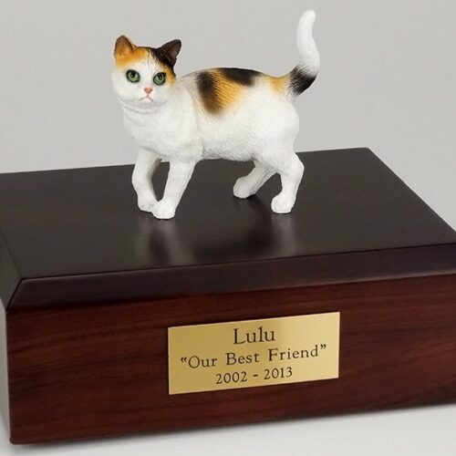 Try-color cat figurine cremation urn w/wood box