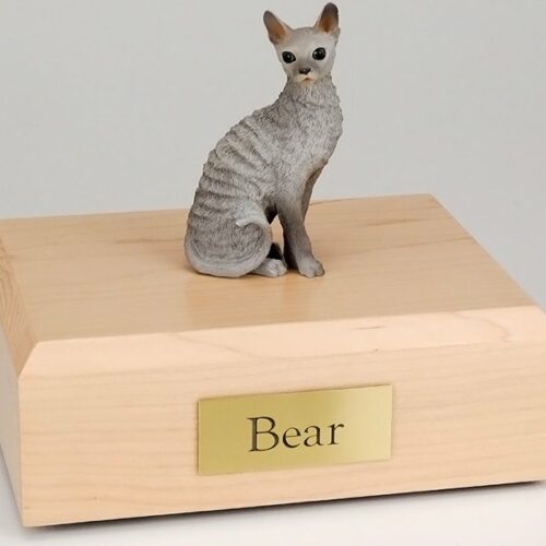 Blue Cornish Rex cat figurine cremation urn w/wood box