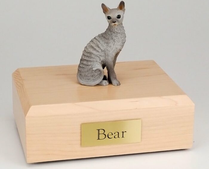 Blue Cornish Rex cat figurine cremation urn w/wood box