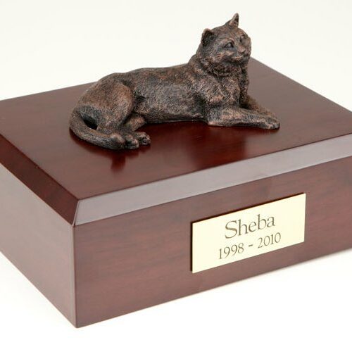 Bronze-look Tabby cat figurine cremation urn w/wood box