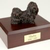 Bronze Look Shih Tzu figurine cremation urn w/wood box