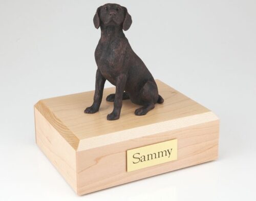 Bronze look Weimaraner figurine cremation urn w/wood box