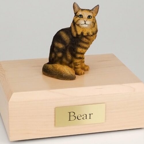 Brown Tabby Maine Coon cat figurine cremation urn w/wood box