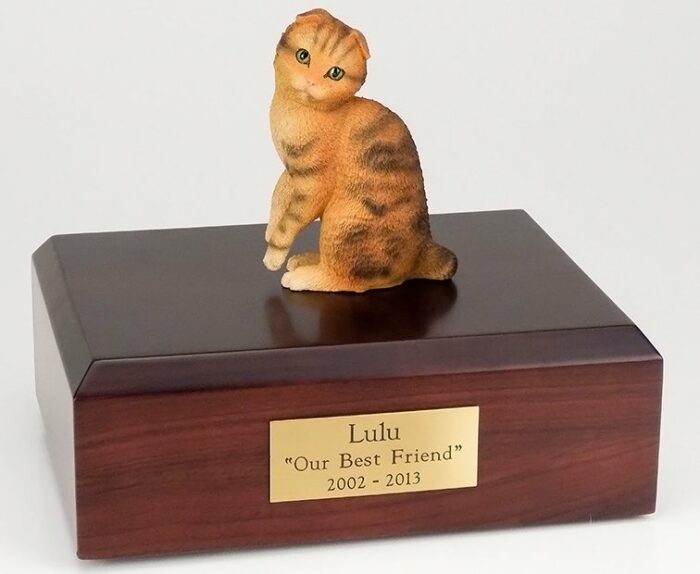 Scottish Fold cat figurine cremation urn w/wood box