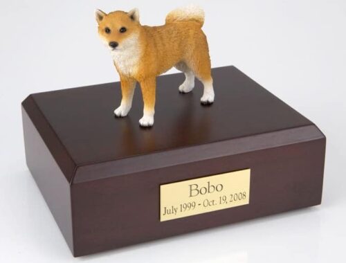 Shiba