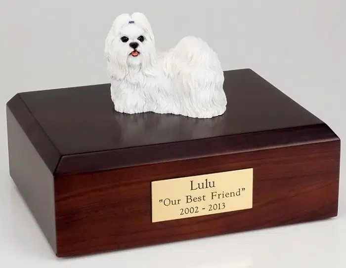 Shih Tzu figurine cremation urn w/wood box