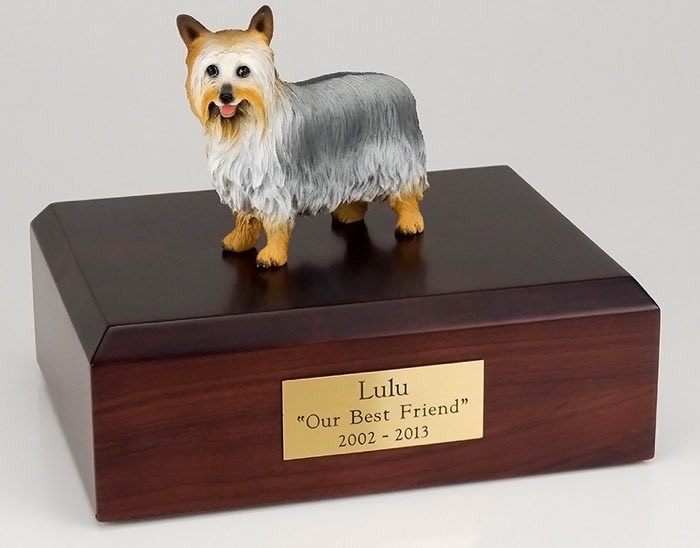 Silky Terrier figurine cremation urn w/wood box