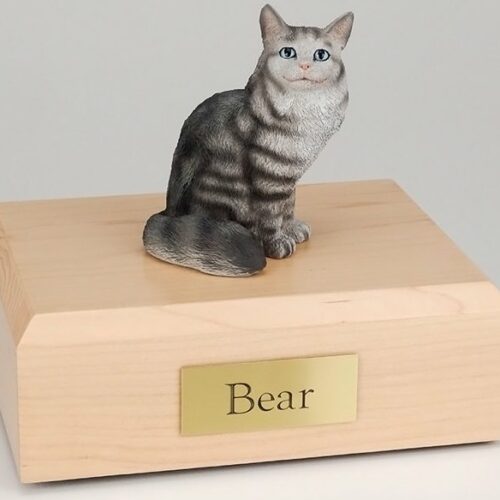 Silver Tabby Maine Coon cat figurine cremation urn w/wood box