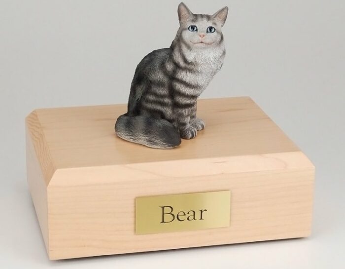 Silver Tabby Maine Coon cat figurine cremation urn w/wood box