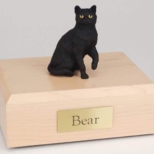 Shorthair black cat figurine cremation urn w/wood box