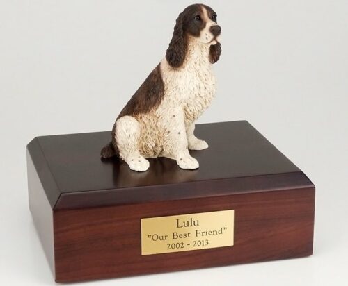 Springer Spaniel