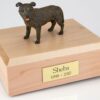 Staffordshire Bull Terrier figurine cremation urn w/wood box