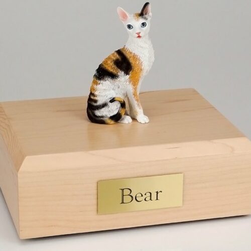 Cornish Rex cat figurine cremation urn w/wood box