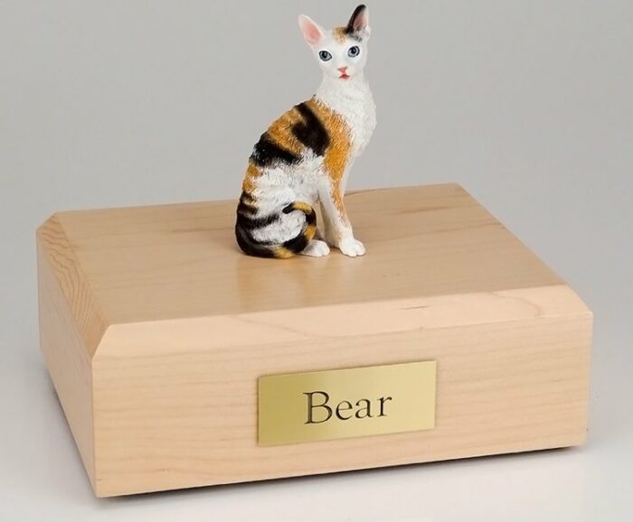 Cornish Rex cat figurine cremation urn w/wood box