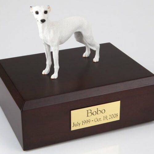 Whippet figurine cremation urn w/wood box