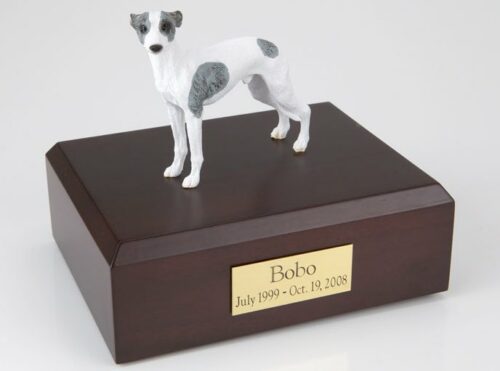 Whippet