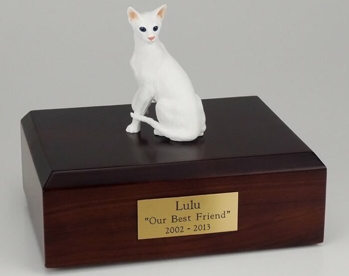 Oriental Shorthair cat figurine cremation urn w/wood box