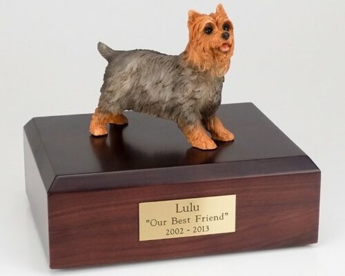 Yorkshire Terrier figurine cremation urn w/wood box