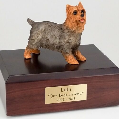 Yorkshire Terrier figurine cremation urn w/wood box