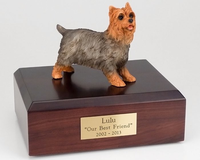 Yorkshire Terrier figurine cremation urn w/wood box