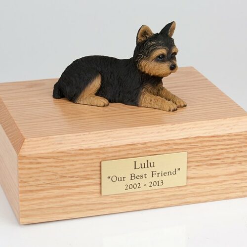 Yorkshire Terrier figurine cremation urn w/wood box