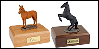 Horses Category