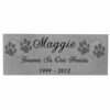 Small engraved silver finish name plate with black fill, with clip art