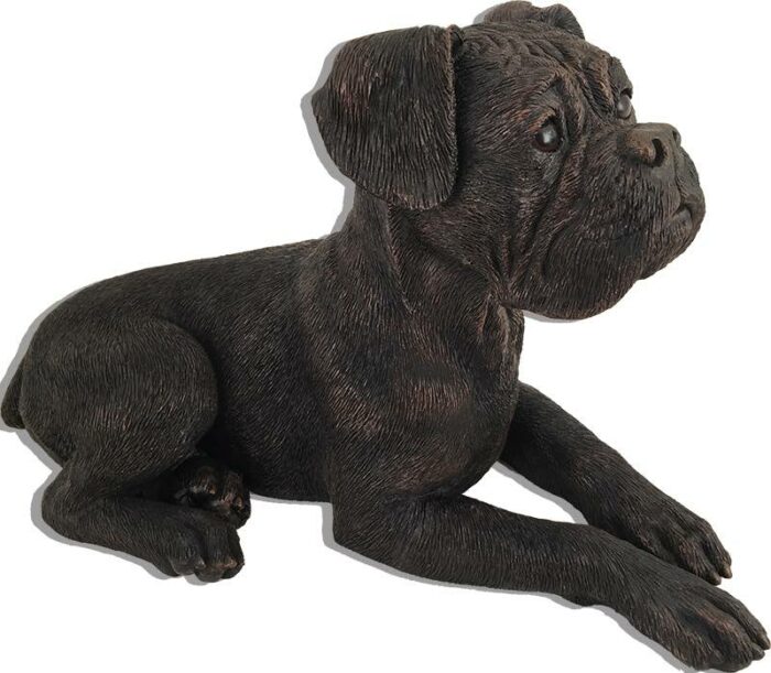 Boxer, ears down bronze look large dog figurine cremation urn