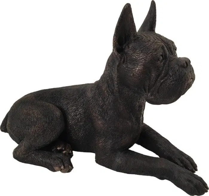 Boxer, ears up bronze look large dog figurine cremation urn