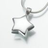 Star Cremation Pendant, white gold, 133WG