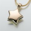 Star Cremation Pendant, yellow gold, 133YG